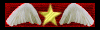 Medal of Guardian