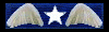 Medal of Small Guardian